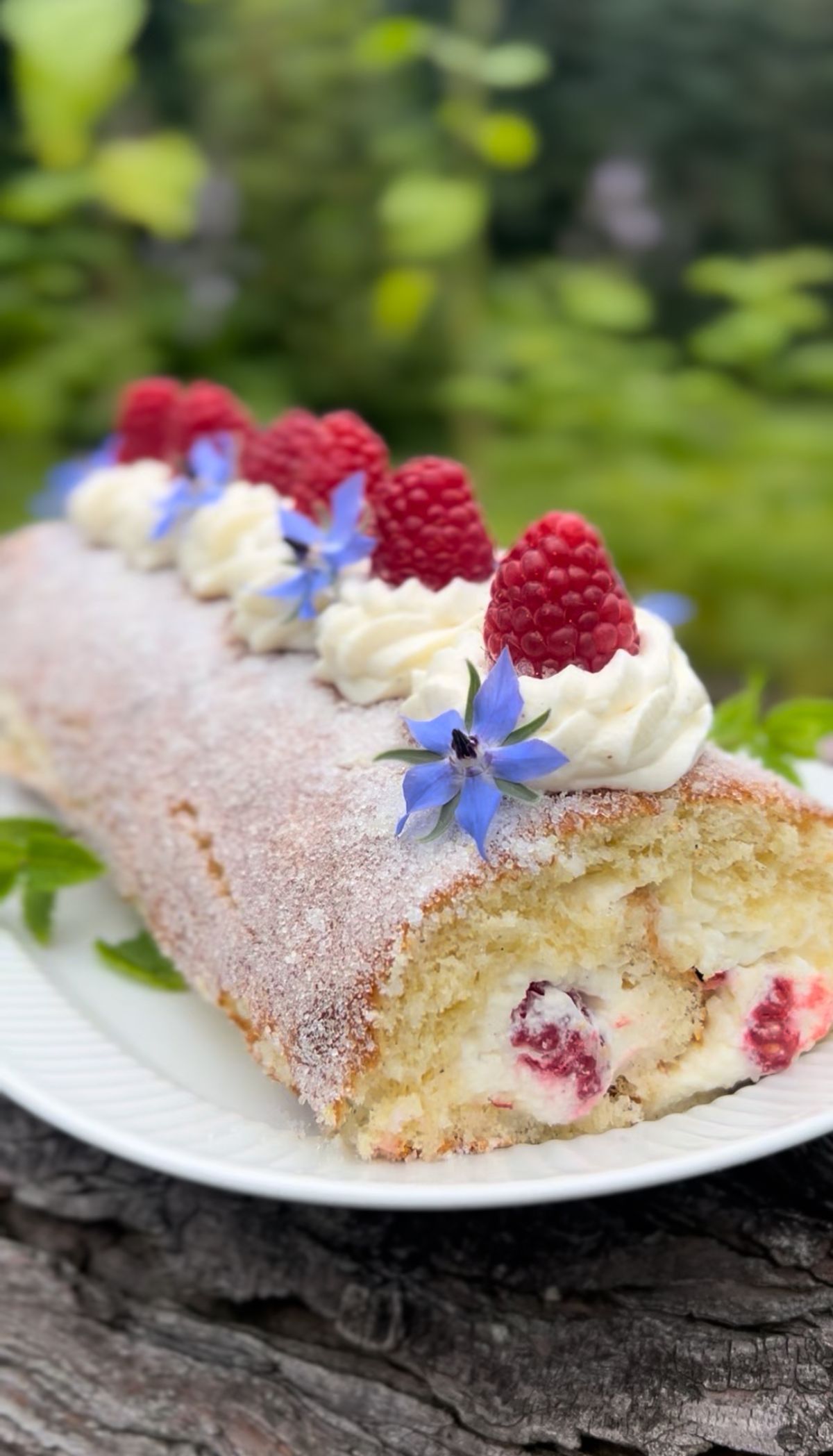 Raspberry Swiss Roll