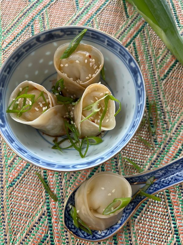 Chicken Dumplings