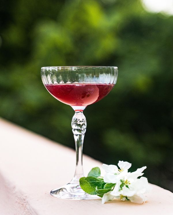 Raspberry Daiquiri