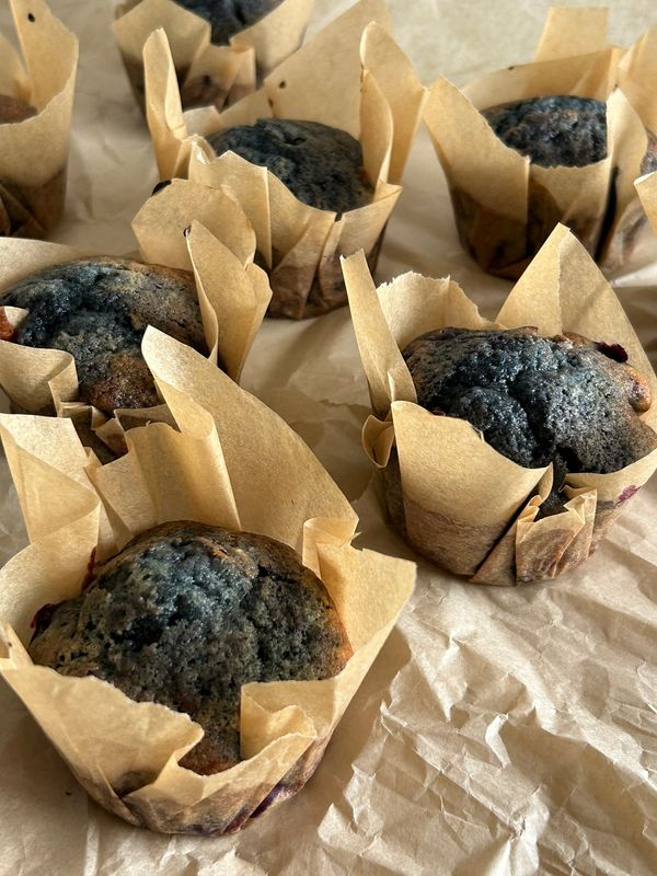 Blueberry Muffins